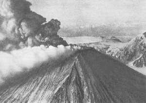 Рекорды в мире природы - i_030.jpg