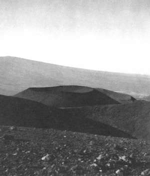 Рекорды в мире природы - i_031.jpg