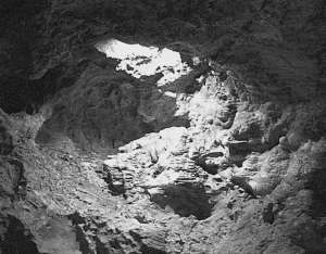 Рекорды в мире природы - i_034.jpg