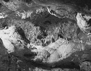 Рекорды в мире природы - i_035.jpg