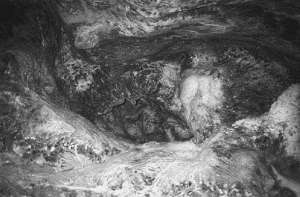 Рекорды в мире природы - i_036.jpg