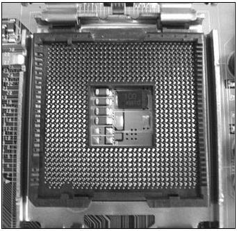 Самоучитель работы на компьютере. - pic2_6.jpg