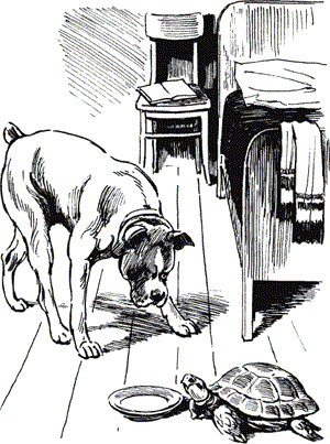 Случай с черепахой - doc2fb_image_03000001.png