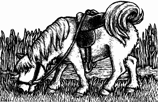 Мифологические существа народов мира. Магические свойства и возможности взаимодействия - i_014.png