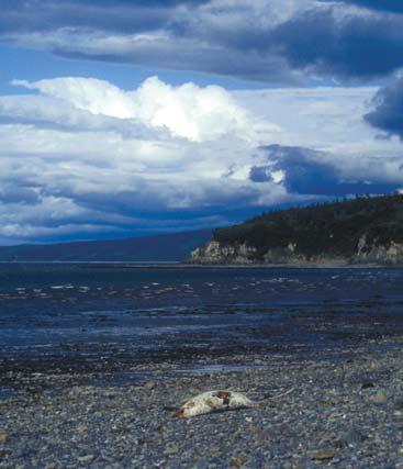 Мохнатый бог - i_056.jpg