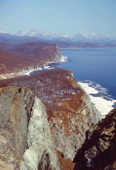 Полосатая кошка, пятнистая кошка - i_006.jpg