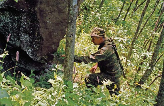 Полосатая кошка, пятнистая кошка - i_008.jpg