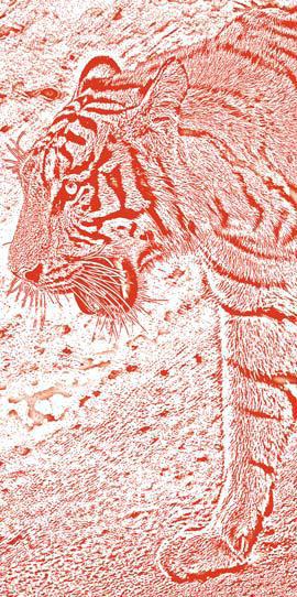 Полосатая кошка, пятнистая кошка - i_011.jpg