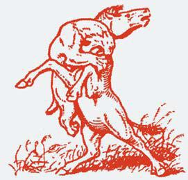 Полосатая кошка, пятнистая кошка - i_047.jpg