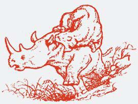 Полосатая кошка, пятнистая кошка - i_048.jpg