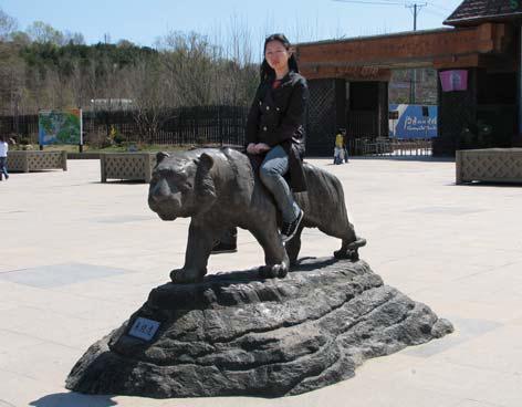 Полосатая кошка, пятнистая кошка - i_073.jpg