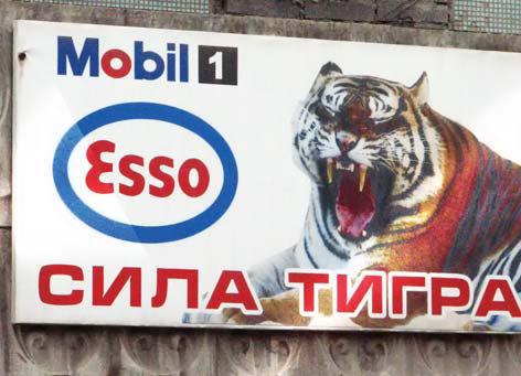 Полосатая кошка, пятнистая кошка - i_093.jpg