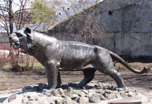 Полосатая кошка, пятнистая кошка - i_094.jpg