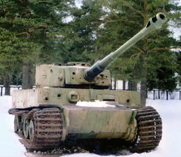 Полосатая кошка, пятнистая кошка - i_106.jpg