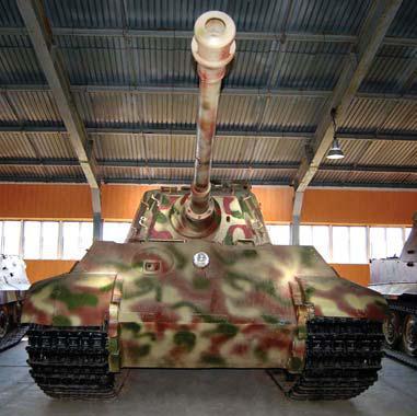 Полосатая кошка, пятнистая кошка - i_107.jpg