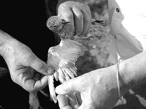 Власть над миром - _19.jpg