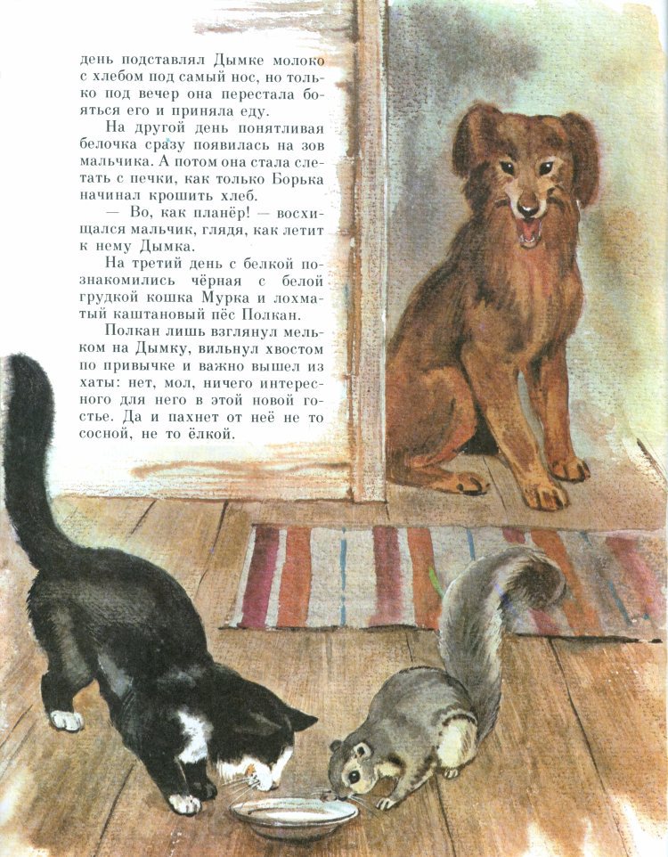 Рыжик - _29.jpg