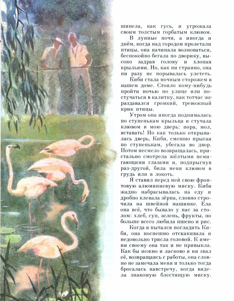 Рыжик - _25.jpg