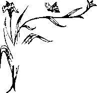 Влюбленная Пион - _19.jpg