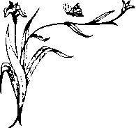 Влюбленная Пион - _23.jpg