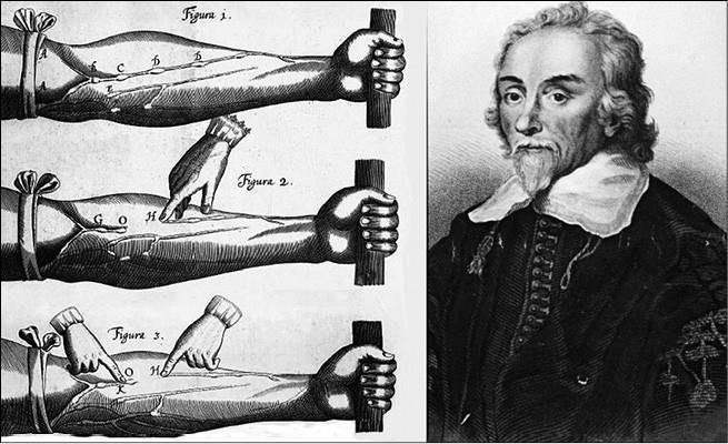 100 великих тайн медицины - i_018.jpg