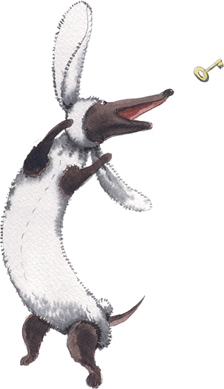 Вышел зайчик погулять... - i_001.png