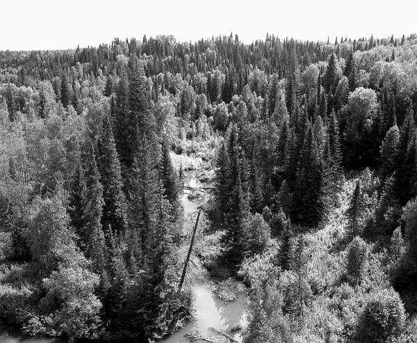 100 великих тайн Земли - i_020.jpg