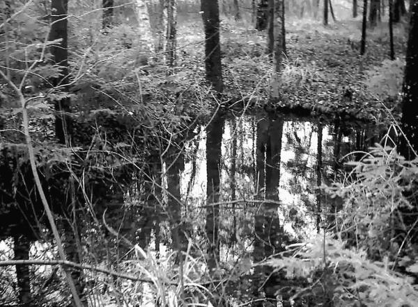 100 великих тайн Земли - i_021.jpg