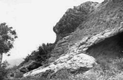 Загадки Финикии - any2fbimgloader48.jpg