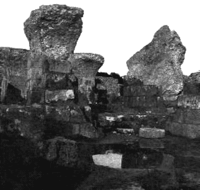 Загадки Финикии - any2fbimgloader66.png