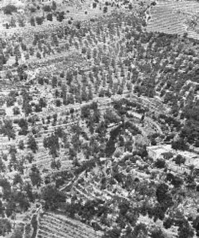 Загадки Финикии - any2fbimgloader8.jpg