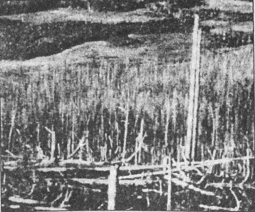 Тайны открытий XX века - i_022.jpg