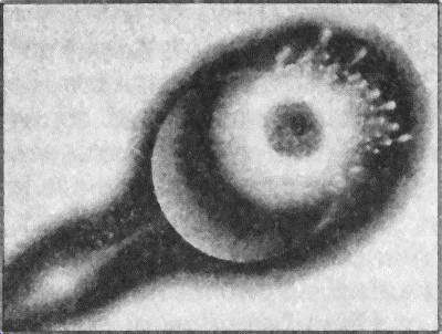 Тайны открытий XX века - i_063.jpg