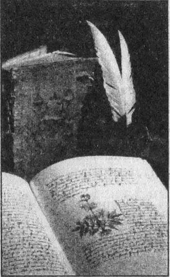 Тайны открытий XX века - i_119.jpg