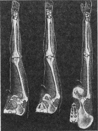 Тайны открытий XX века - i_135.jpg
