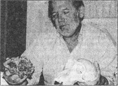 Тайны открытий XX века - i_137.jpg