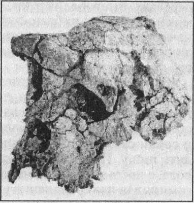 Тайны открытий XX века - i_139.jpg