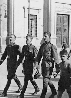 Командиры «Лейбштандарта» - i_062.jpg