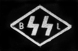 Командиры элитных частей СС - i_054.jpg