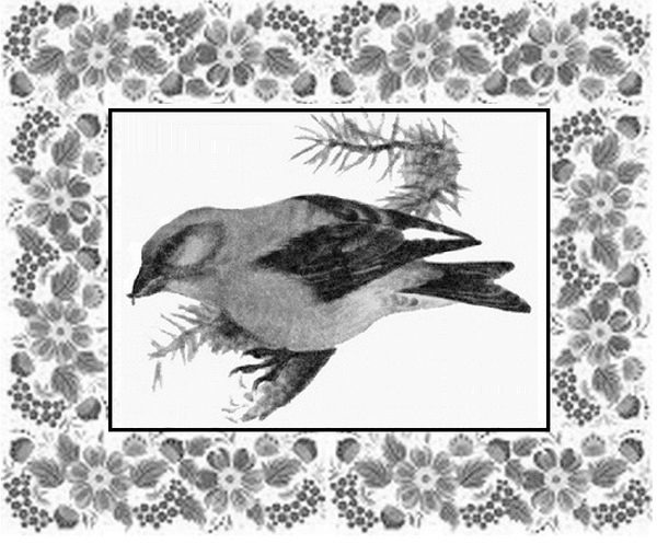 Почемучкины сказки - image3_55d9737dab44b42b3231a608_jpg.jpeg