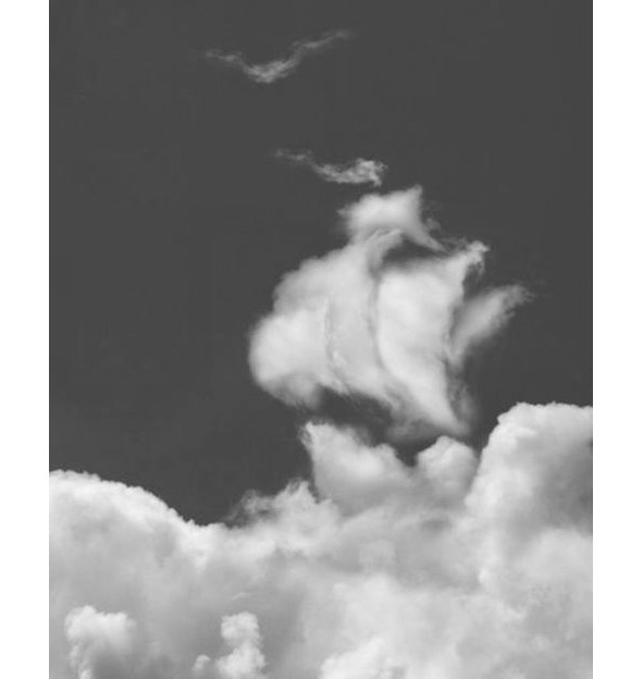 Путешествие надувного шарика - image5_566943f275e6700b19b6df9b_jpg.jpeg