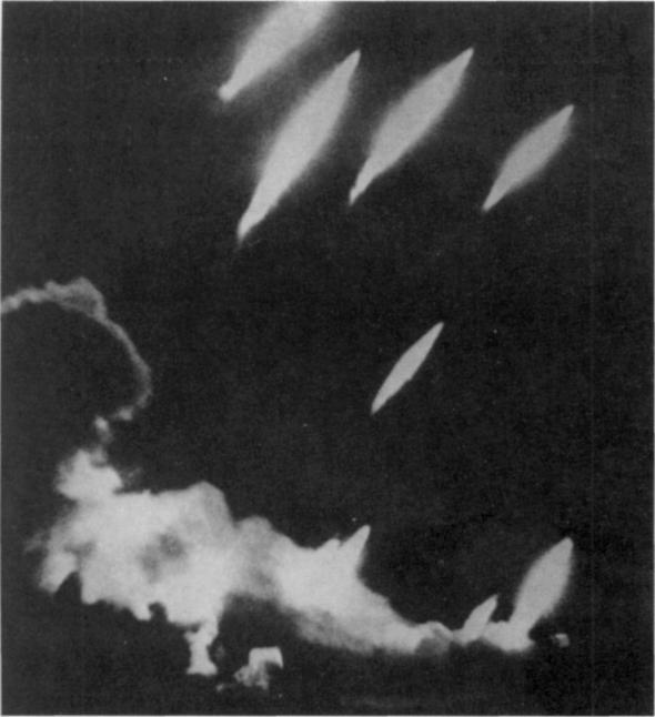 Наемники фюрера - pic_1.jpg