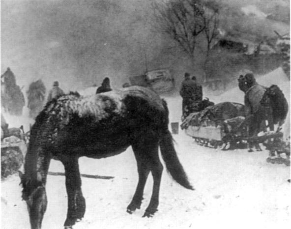 Наемники фюрера - pic_15.jpg