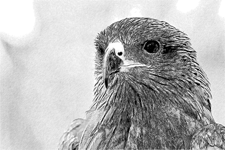 Последнее сказание - i_006.jpg