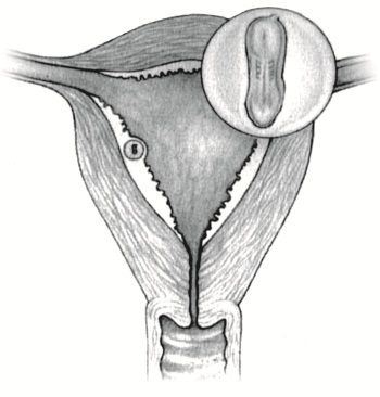 В ожидании малыша - i_014.jpg