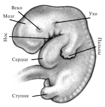 В ожидании малыша - i_030.jpg