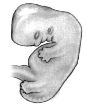 В ожидании малыша - i_031.jpg