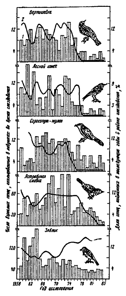 Почему перелетные птицы возвращаются домой - i_014.png