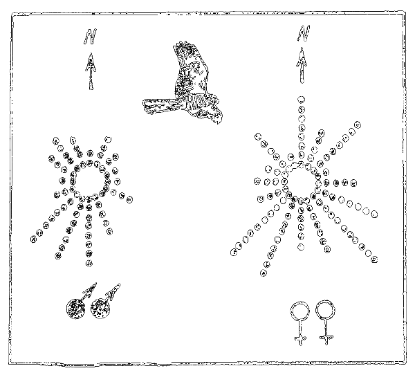 Почему перелетные птицы возвращаются домой - i_025.png