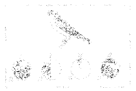 Почему перелетные птицы возвращаются домой - i_034.png